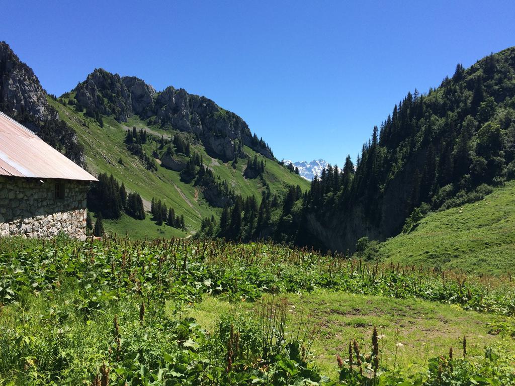 Les Balcons Du Leman Bed & Breakfast Thollon-les-Memises Eksteriør bilde