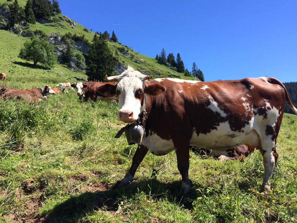 Les Balcons Du Leman Bed & Breakfast Thollon-les-Memises Eksteriør bilde