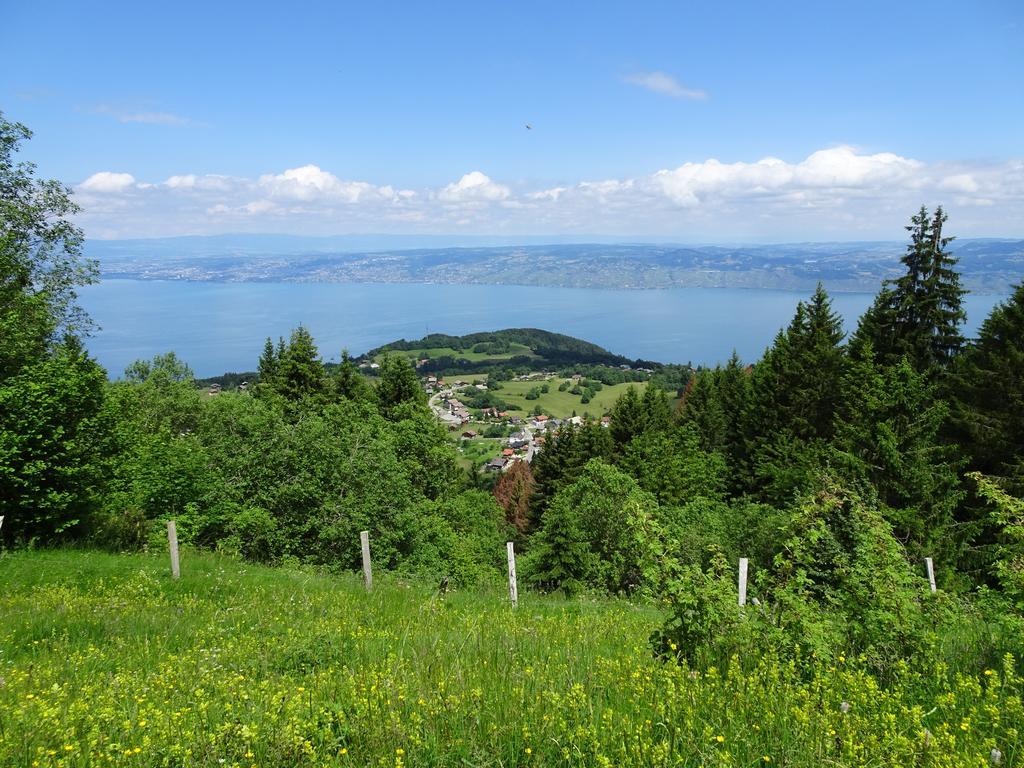 Les Balcons Du Leman Bed & Breakfast Thollon-les-Memises Eksteriør bilde