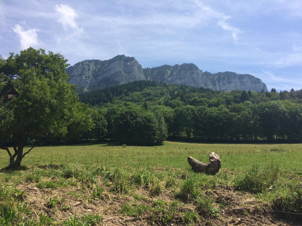 Les Balcons Du Leman Bed & Breakfast Thollon-les-Memises Eksteriør bilde