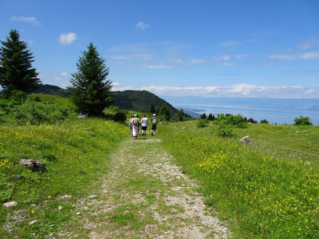 Les Balcons Du Leman Bed & Breakfast Thollon-les-Memises Eksteriør bilde